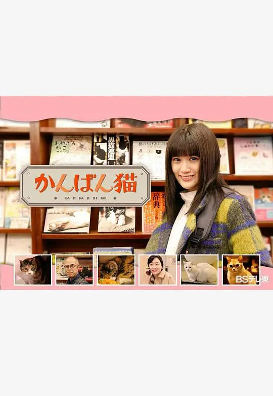 萌宠冒险之旅：看板猫的温馨与惊喜解析