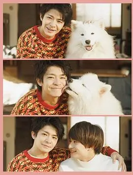 爱你汪汪：狗狗与人类的温馨冒险与情感治愈之旅