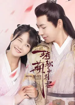 《王府软萌小刺客》：反差萌少女潜伏记，笑泪交织的古装甜宠喜剧！