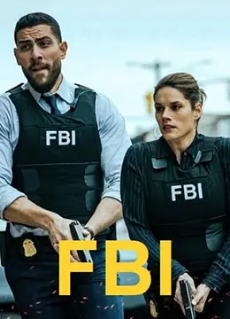 《联邦调查局 第五季》：FBI的生死时速，探寻犯罪真相，婚姻与职责的艰难抉择